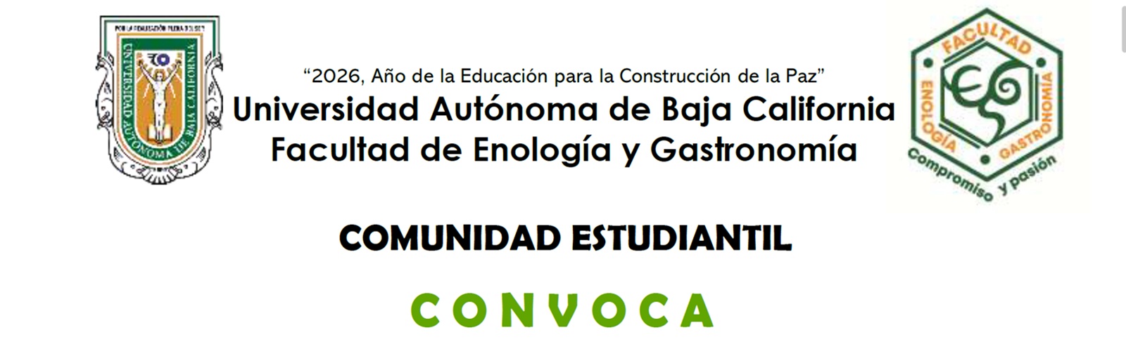 Consejo Técnico 2026-2027