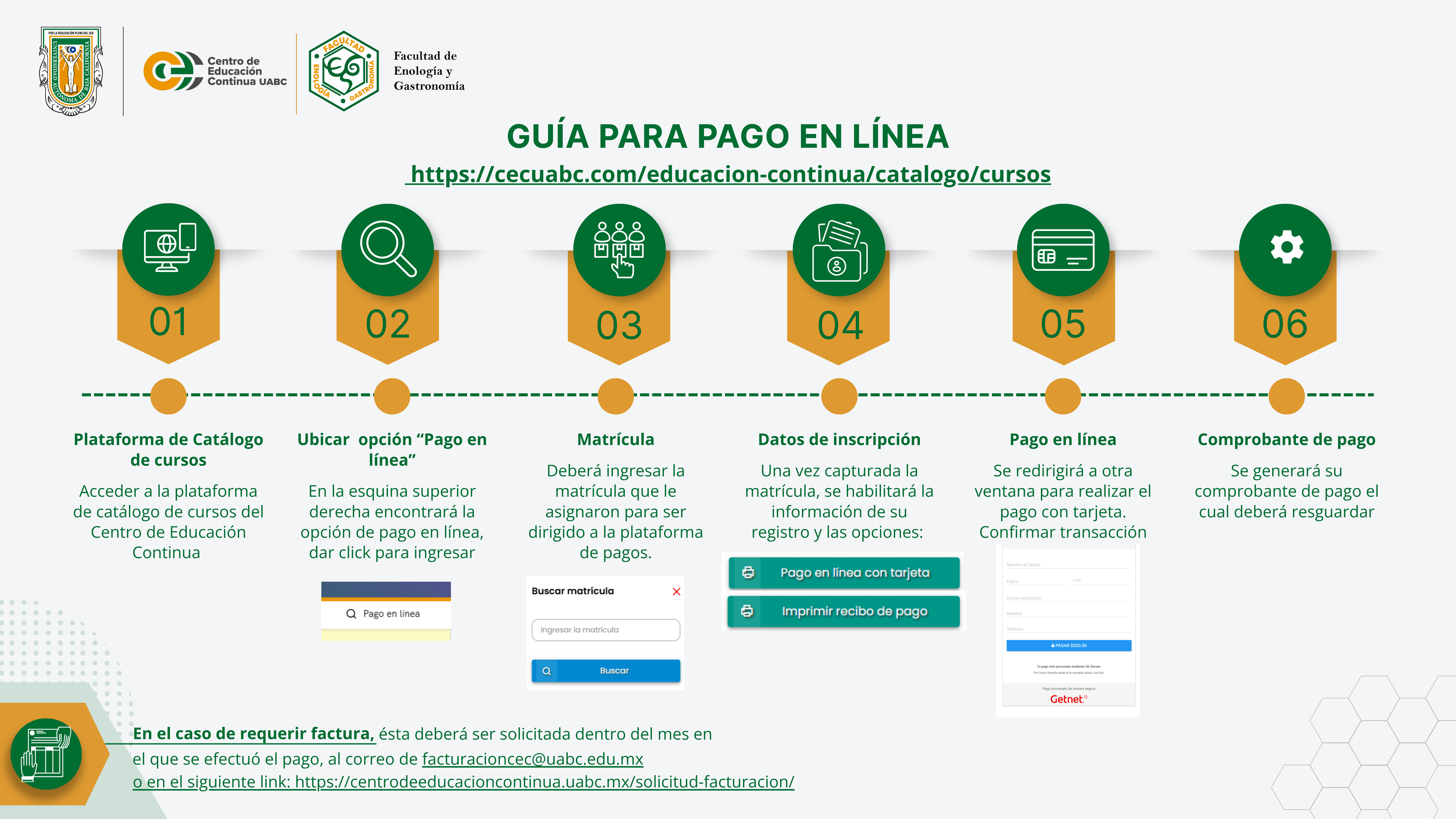 Guía de Pagos en Línea