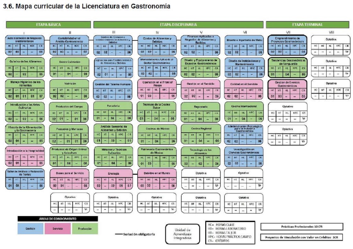 Mapa curricular de la Licenciatura en Gastronomía