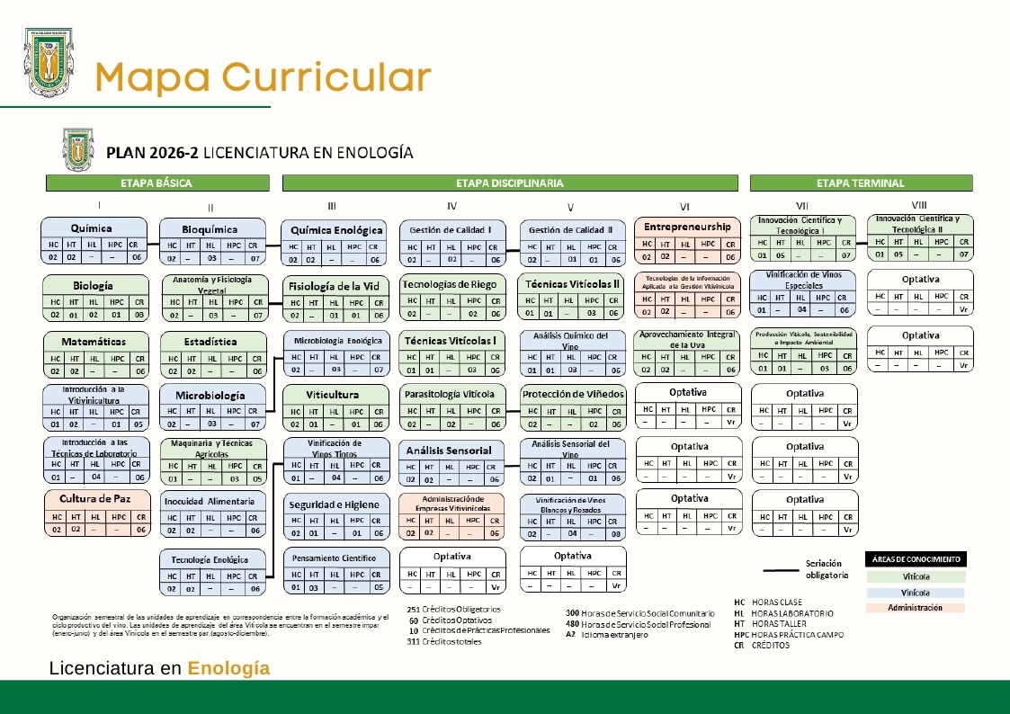 Mapa curricular de la Licenciatura en Enología