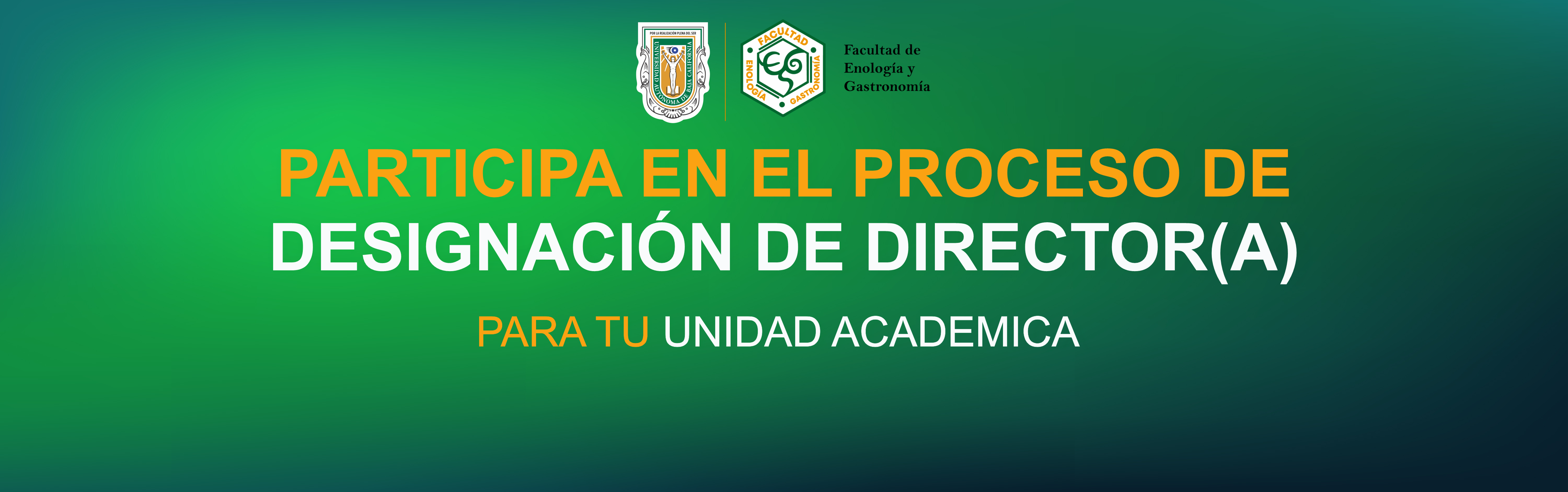 DESIGNACION DE DIRECTOR(A)
